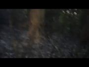 BOMBEROS DE BACALAR SOFOCAN INCENDIO DE MALEZA EN EL RANCHO «EL SUSPIRO»