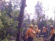 INCENDIO FORESTAL EN LÁZARO CÁRDENAS BAJO CONTROL