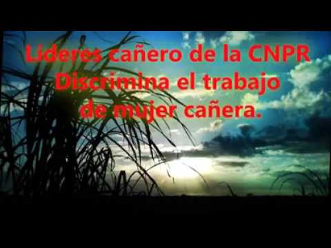 LÍDERES DE LA CNPR DISCRIMINAN A MUJER CAÑERA