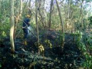 BAJO CONTROL INCENDIOS EN MALEZA EN MAHAHUAL, GONZÁLEZ ORTEGA Y SERGIO BUTRÓN CASAS