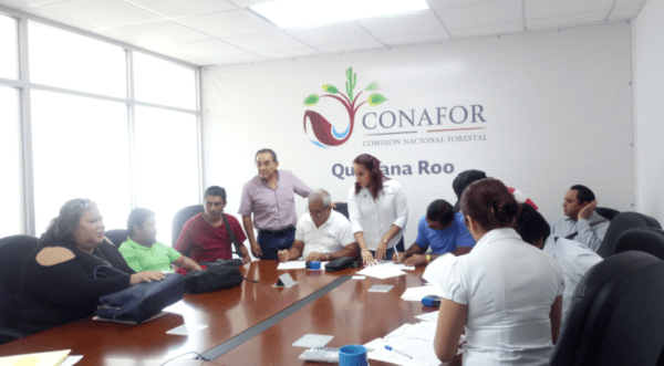 QROO SERVICIOS AMBIENTALES (2) (1)
