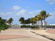 Vence en dos semanas fecha límite para rehabilitar Malecón