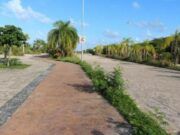 Buscarán activistas a Fonatur y a Semarnat para que Tajamar sea un parque urbano