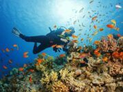Gobierno de Quintana Roo asegura la protección de los principales activos de la industria turística: playas y arrecifes de coral