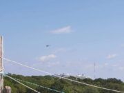 OPB | En mahahual, Ejército Mexicano asegura una avioneta que ingresó clandestinamente al país