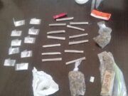 Aseguran droga en el muelle Fiscal de Playa del Carmen gracias al olfato de los caninos policías
