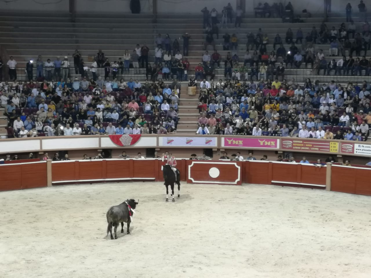 Torero en corrida2