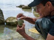 Bacalar | Grupo multidisciplinario de investigadores mexicanos estudiarán ADN de estromatolitos al sur de Quintana Roo