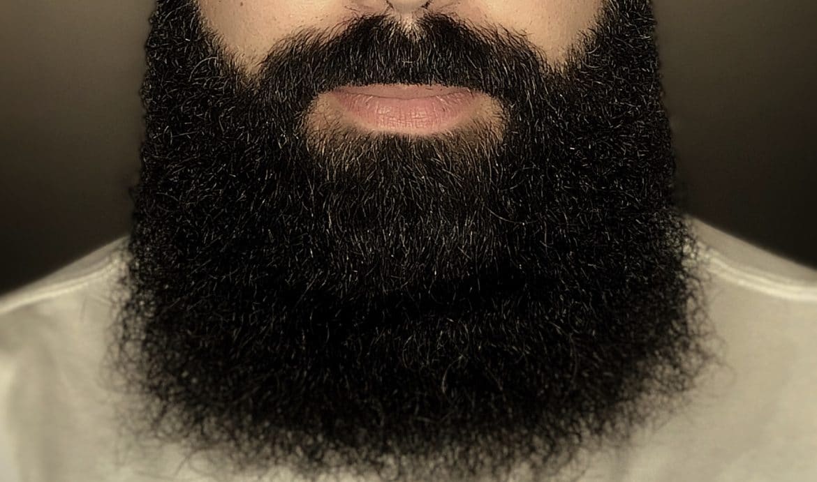 barbas-largas-bearbero-1170x691