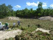 Federación no autoriza 200 mil pesos para sanear sabana de lechuguilla
