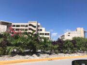 PM | Denuncian nueva tala de mangle en hotel El Cid de Puerto Morelos