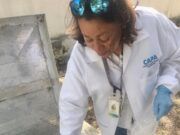 El cuidado del agua es esencial para hacerle frente al Covid-19: Carlos Joaquín