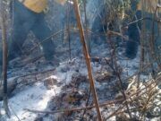 Hay cinco incendios forestales en distintos puntos del estado