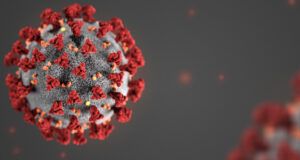 Opinión| Coronavirus, desinformación y miedo| El Minotauro/ Nicolás Duran de la Sierra