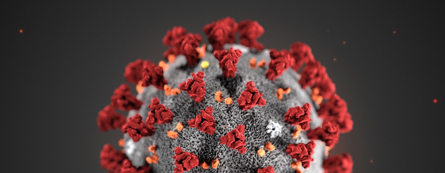 2020-04-13 Coronavirus