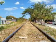 Piden asociaciones civiles ser incluidas en construcción del Tren Maya