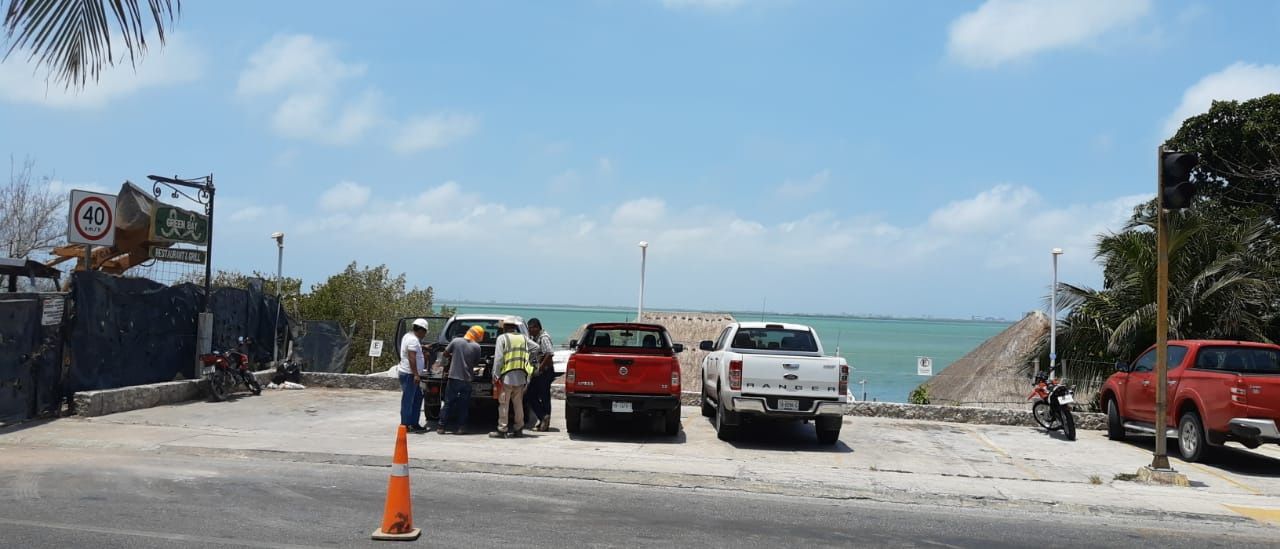 Dañan manglar zh covid