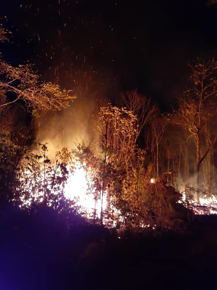 Incendio 1, 2020