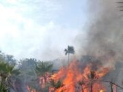 LC | Incendio en Chiquilá incontenible. Se necesitan varios días para exterminarlo. Se veía hasta Holbox