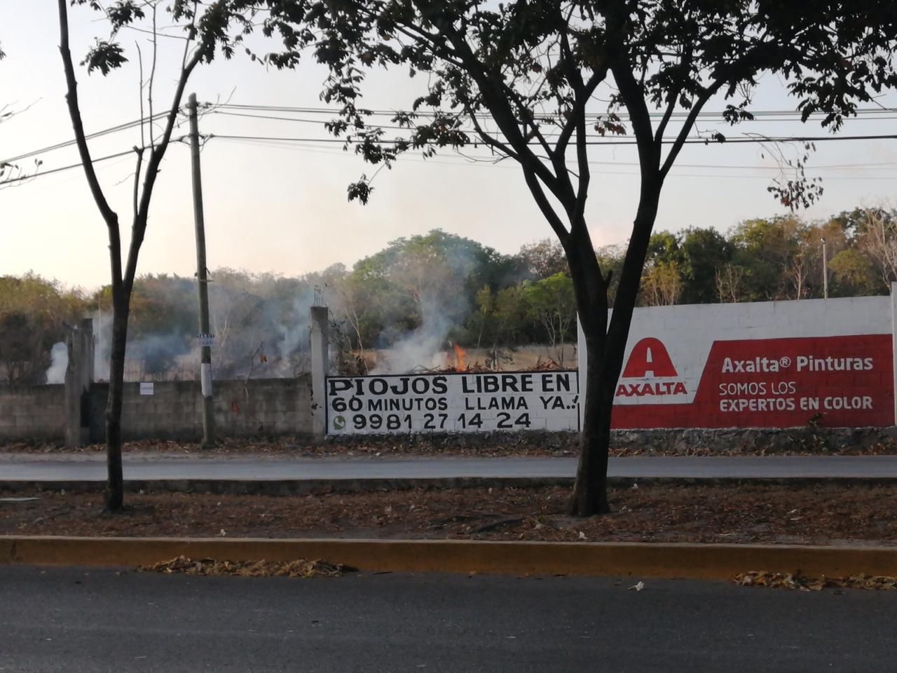 Quema de predio, Paulino Adame