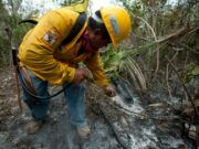 Ecología | Cacería furtiva y uso de fuego provocado intencional, posibles causas de incendio en Mahahual. Profepa investiga