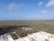 Continúan ambientalistas batalla legal contra desarrollo en Puerto Morelos