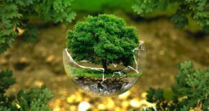 Opinión | Las dos caras del medio ambiente / Hugo Alday