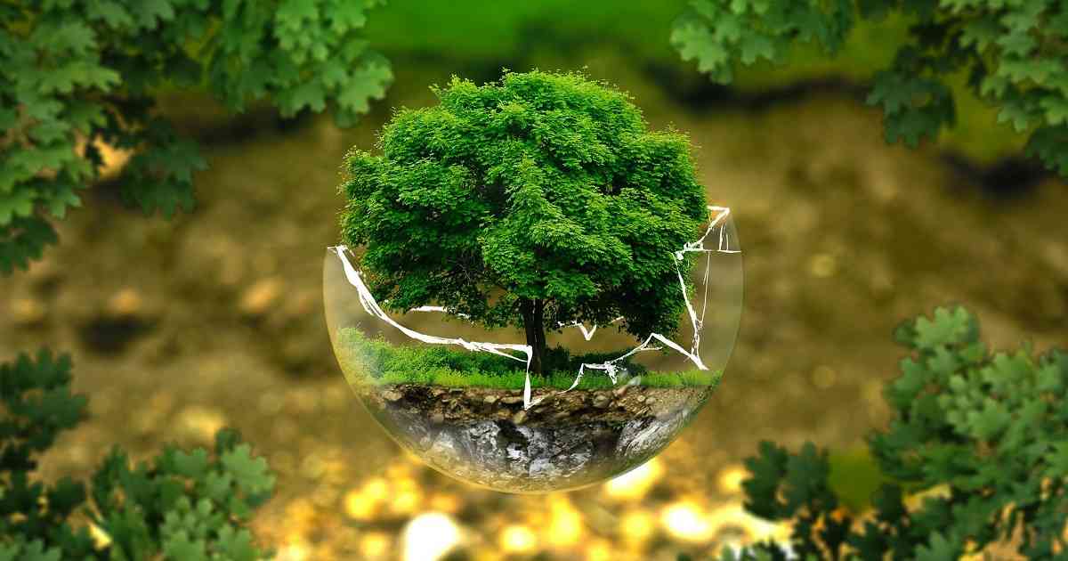 2020-05-19 Medio Ambiente Alday 1