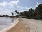 IM | Mantienen libre de sargazo las playas