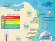 Presencia moderada y baja de sargazo en playas del norte de QRoo