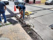 Bacalar | Gobierno de Alexander Zetina limpia todo tipo de pozos de absorción para evitar inundaciones en Bacalar