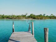 Regresa gradualmente actividad económica a Bacalar; ausencia de humanos mejoró el ecosistema
