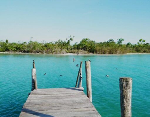 Regresa gradualmente actividad económica a Bacalar; ausencia de humanos mejoró el ecosistema