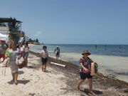 Buscan cancunenses ingresar a las playas de Puerto Juárez