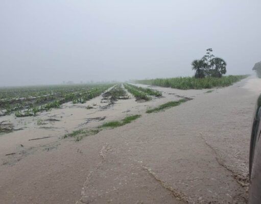 Clima | Intensas lluvias se dejan sentir desde la madrugada en la zona centro y sur de Quintana Roo