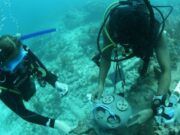 Ecología | Corales de Akumal bajo el resguardo de buzos voluntarios y apoyo financiero de una fundación alemana