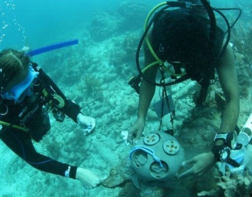 Ecología | Corales de Akumal bajo el resguardo de buzos voluntarios y apoyo financiero de una fundación alemana