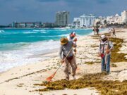 BJ | Las playas limpias son nuestra mejor carta de presentación al turismo: Mara Lezama. Se retiraron 291 toneladas de sargazo