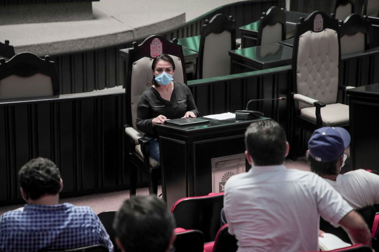 2020-07-01 Reyna Durán Congreso 2