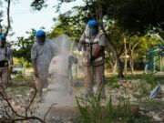 BJ | Refuerza gobierno de Mara Lezama acciones contra vectores; recolectan 32 toneladas de cacharros
