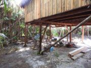 Cozumel | Área natural protegida es devastada para construir cabañas. Conanp local es cómplice: ambientalistas de Cielo, Tierra y Mar