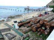 Cozumel | En áreas naturales no se debe de construir nada; este es un “municipio sustentable”: Miguel Álvarez Ancona