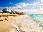 Las playas no se abrirán. La ley dice que abriremos las playas cuando el semáforo esté en amarillo: Vagner Elbiorn