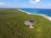Cozumel | Denuncia por el ecocidio en el Área Natural Protegida Xpalbarco se hizo en tiempo y forma: Guadalupe Álvarez