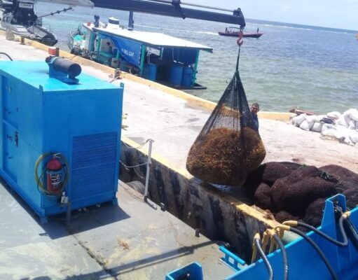 Se han recolectado 13 mil 829 toneladas de sargazo en altamar y en playas de siete municipios: SEMAR