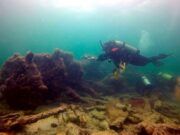 Cultura | Descubren en Yucatán barco que era usado para traficar esclavos mayas