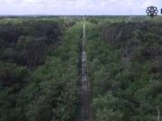 5to tramo del Tren Maya Cancún-Tulum se dará a conocer hasta el 8 de septiembre: Fonatur