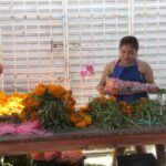 Flores de cempasúchil