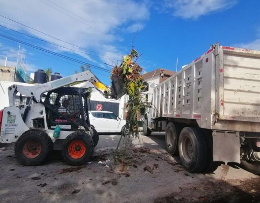 Solidaridad | Brigadas continúan rehabilitación en el municipio tras paso de ciclones
