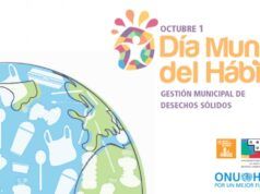 Opinión / #IR-onías / 5 de octubre, Día Mundial del Hábitat / ¿Se entiende realmente la trascendencia de la habitabilidad para el progreso del mundo? / Por Isabel Rosas